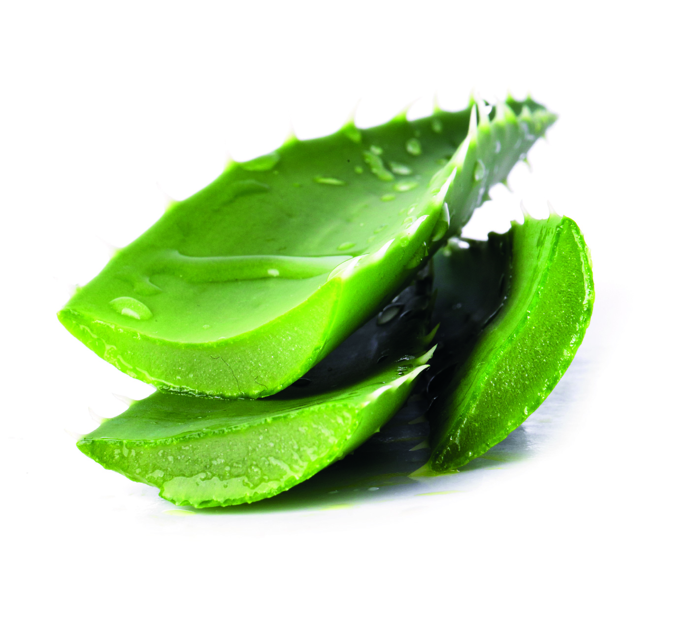 There are many health benefits of aloe vera since it is rich in nutrition and vitamins