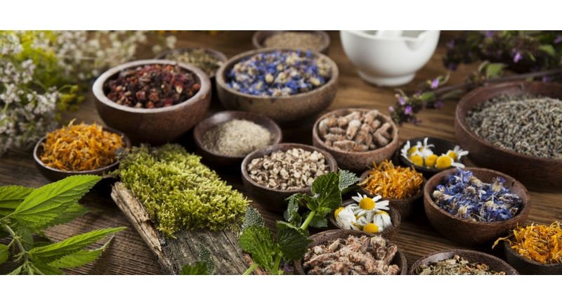 Why Ayurveda Is A Reliable System Of Wellness