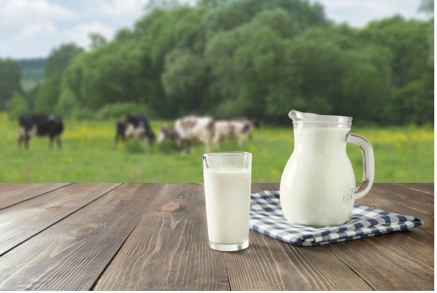 This World Milk Day, Know the Health Benefits of A2 Milk