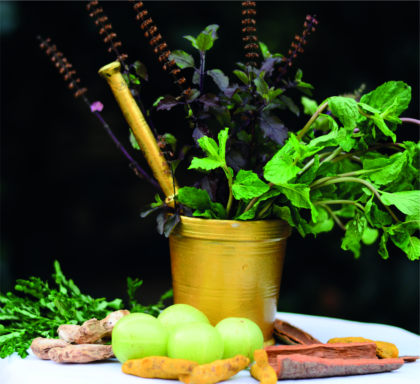 11 Ayurvedic Herbs for Daily Wellness