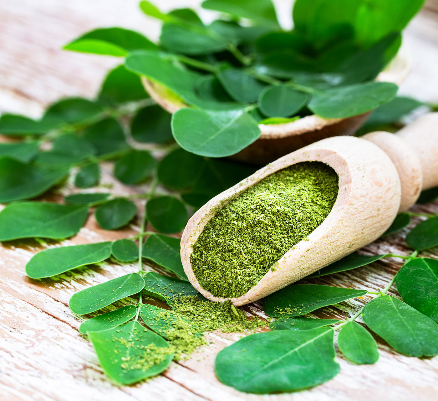 moringa-leaves-powder-diabetes