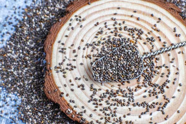 chia seeds protein