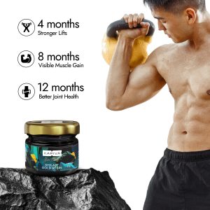 4-12 months benefits of Shilajit Gold