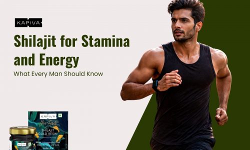 Shilajit for Stamina and Energy_ What Every Man Should Know